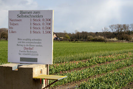 Beckmanns Blumen