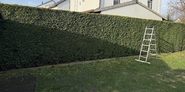 Albi Gartenbau