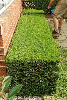 Albi Gartenbau