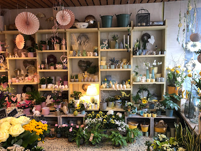 Jaspert Blumen