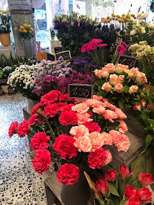 Jaspert Blumen