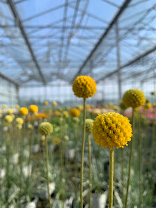 Gartenbau Potthinck