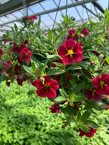 Gartenbau Potthinck