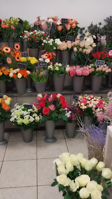 Blumenstube Ostbevern