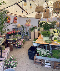 Bindestelle Blumen Schröter