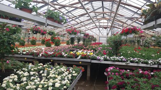 Blumenhaus Hörsting
