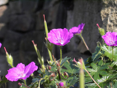 Gartenbauer
