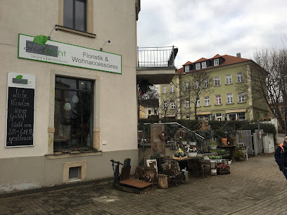 Stielecht - Floristik & Wohnaccessoires