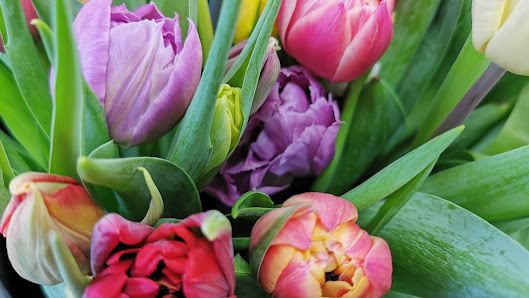 Dorfblume GmbH
