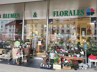 Blumen & Florales Sylvia Krien