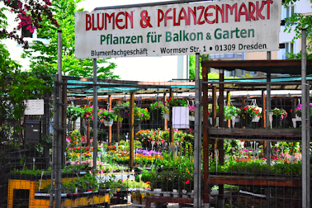 Blumen- & Pflanzenladen