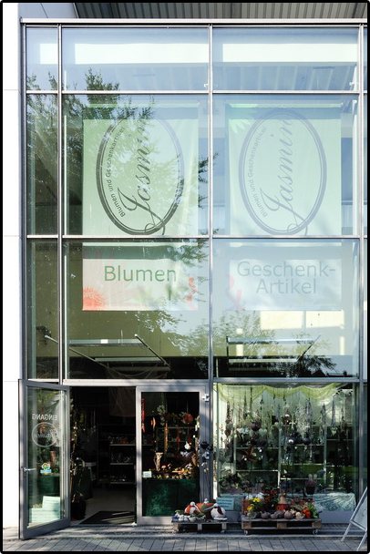 Blumen Jasmin