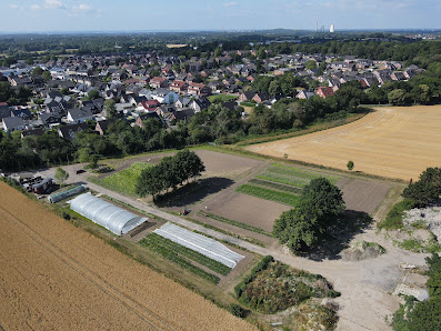 Gärtnerei Stadtgemüse