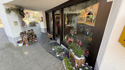 BurgBlüten-Floristik