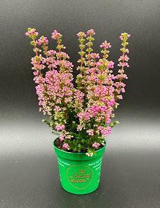 Küppers Gartenbau