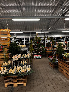 Blumen Risse Blumenmarkt Ludwigshafen