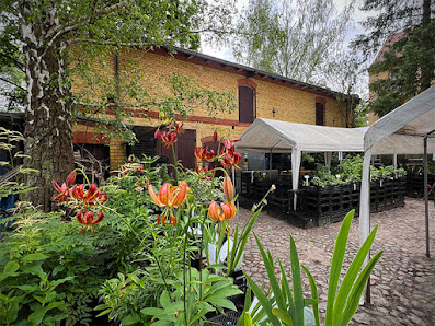 Albrecht Hoch Gartenbau und Pflanzenzucht oHG