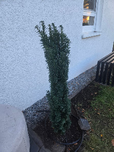 Intragarten GmbH