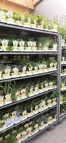 Raiffeisen-Markt Niederkrüchten-Dam