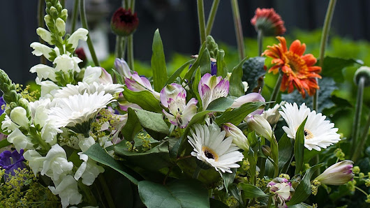 Lynders florales & mehr