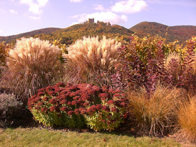 Gartengestaltung Plomer