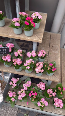 BLUME2000 Kaiserslautern