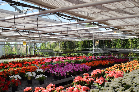 Albert Dachs - Garten- und Landschaftsbau Dachs