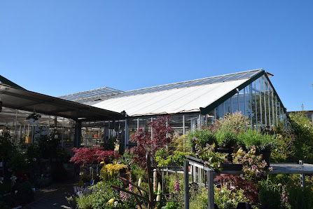 Albert Dachs - Garten- und Landschaftsbau Dachs