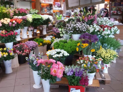 Blumen Geißler