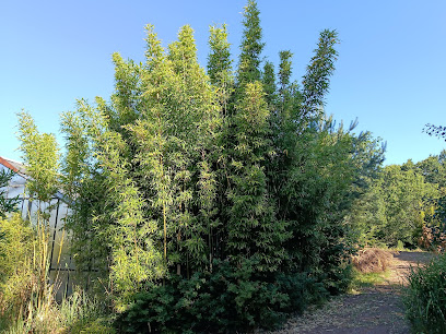 Bethke Garten-Landschaftsbau