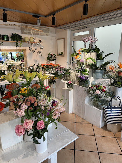 Blumen Schad