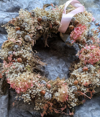 Gänseblümchen