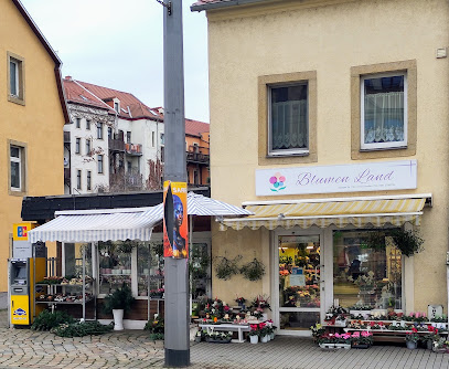 Blumen Land Dresden