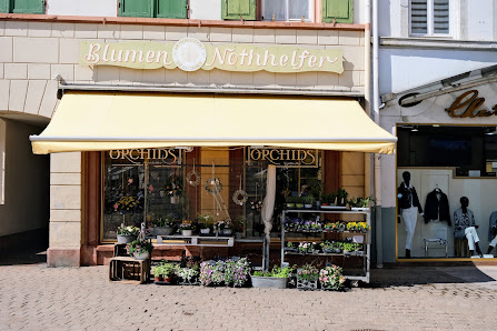 Blumenhaus Nothhelfer