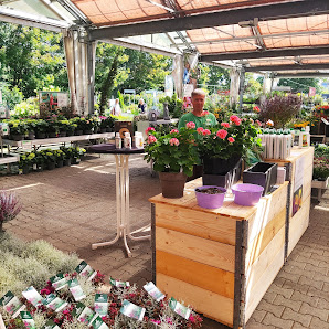 Dehner Garten-Center