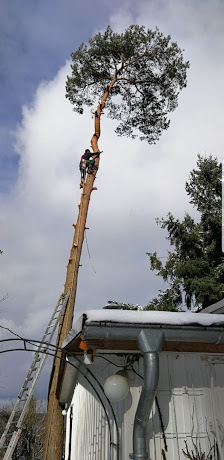 Gartenservice Dogan