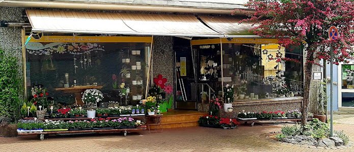 Blumenhaus Ohlig
