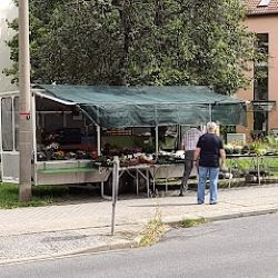 Gartenbau Siegmar Schönert