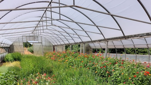Gartenbau Siegmar Schönert