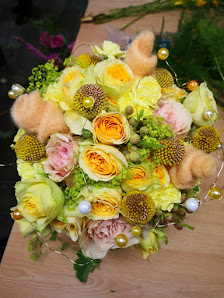 Holland Blumen