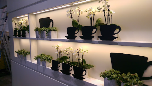 Patrick Schild Dekorationsdesign