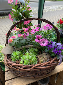 Laden23 Blumen+Regionales