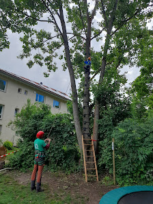 Meisterbaum.de - Baumpflege Mazur