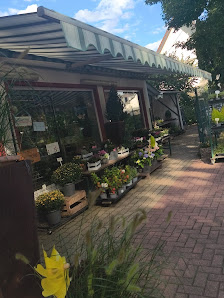 Blumenhaus M. und W. Nachtsheim