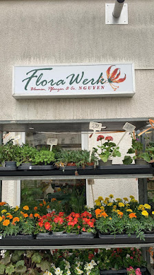FloraWerk Blumen Pflanzen & Co. Nguyen