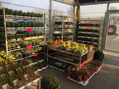 Oliver Kasten Blumenshop
