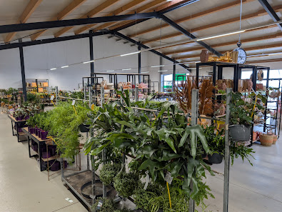 Die Grüne Halle