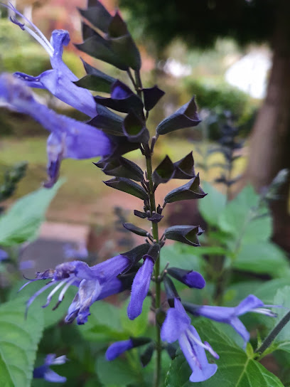 Blumengeschäft