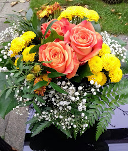Blumen Beck