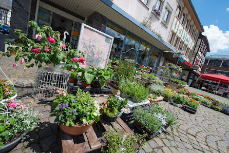 Blumenhaus Krämer